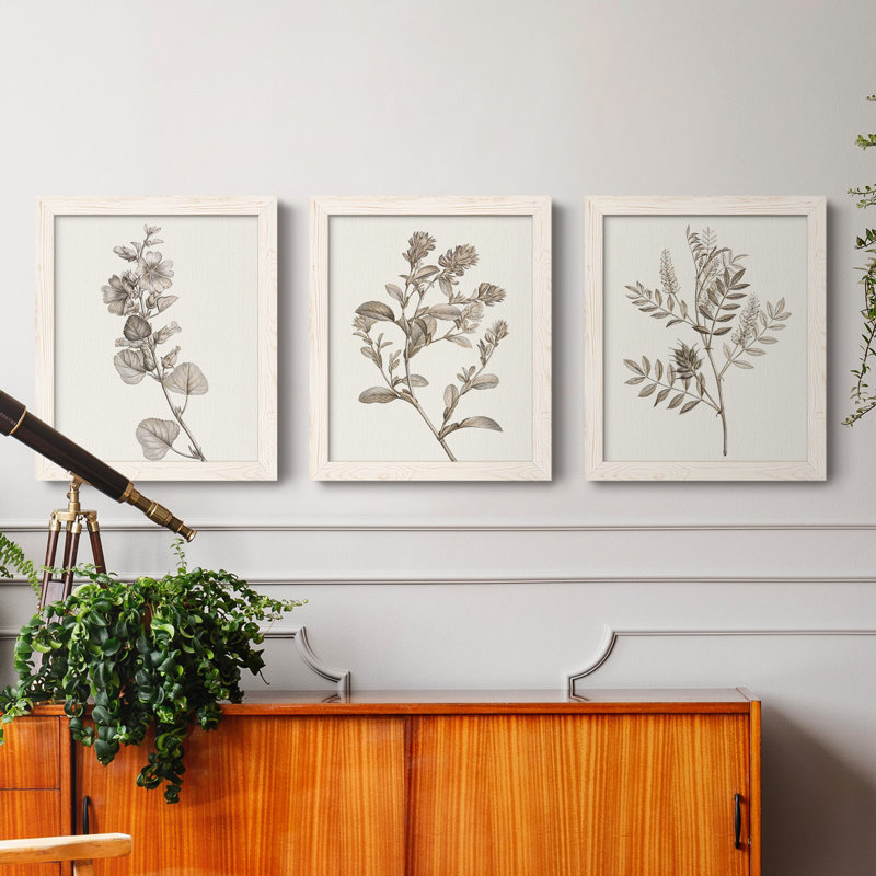 Neutral Botanical Study I - Ensemble de 3 reproductions d'art sur toile, H 24 po x l 36 po x P 1,5 po, Blanc