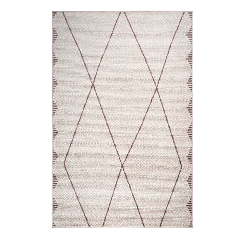 Leopoldo Vintage Look Area Rug, Beige/Brown, Rectangle 80 x 150cm