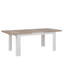 Forseti Extendable Dining Table