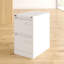 Light 41.3cm Wide 2 -Drawer File Cabinet-26730191