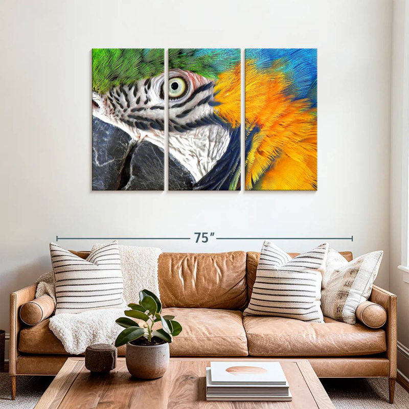 Brampt Macaw Eye, 36" H x 57" W