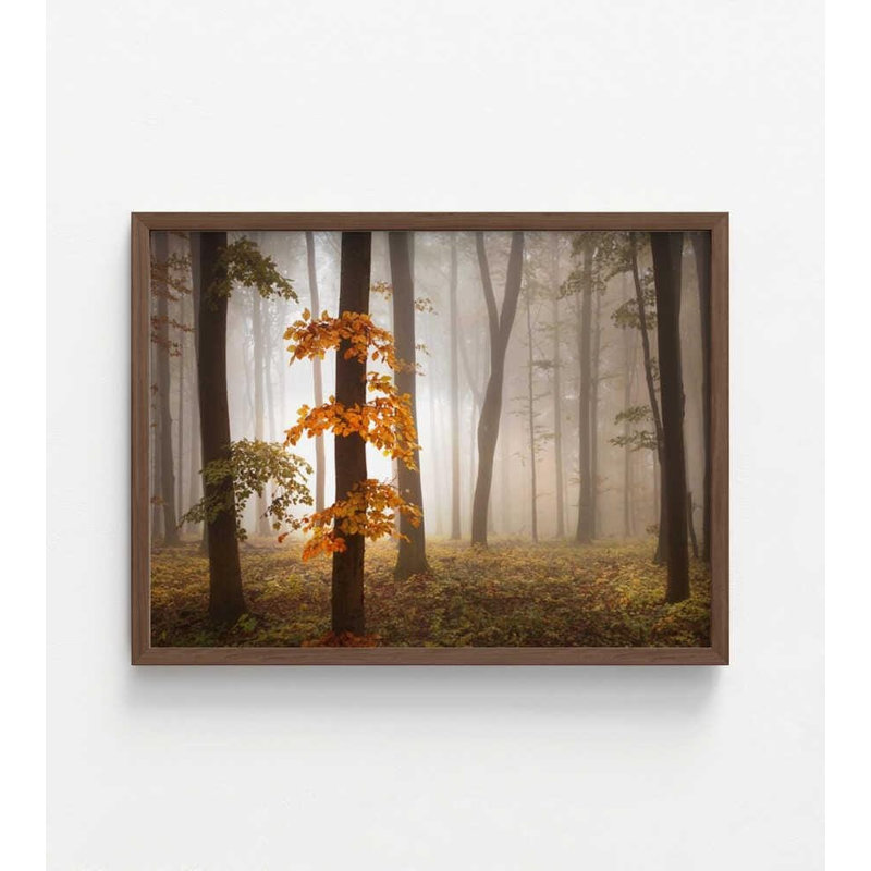 Reproduction de lumière de novembre: brouillard d'automne et forêt (encadré ou non), H 18 po x l 24 po, Brun