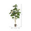 Figuier artificiel en pot-27703834