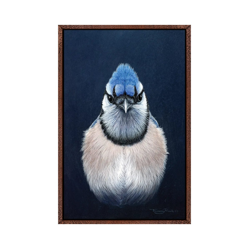 Blue Jay by Jeremy Paul - Print on Canvas, 66.04cm H x 45.72cm W x 3.81cm D, Classic Brown Wood Framed