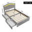 Storage Bed