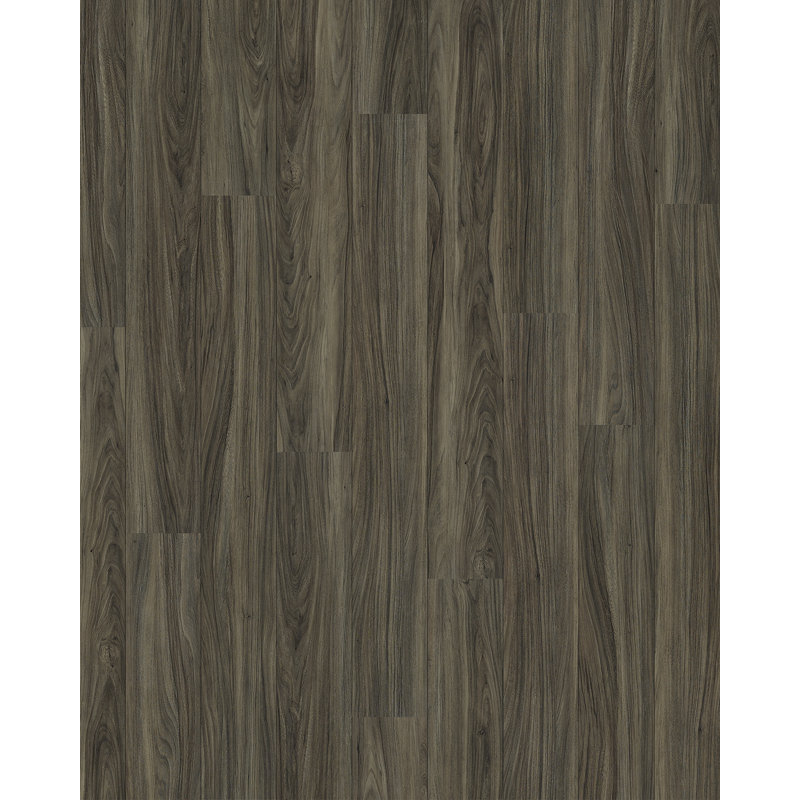 Moulure en T de 0,38 po x 1,75 po x 72 po, Hartford