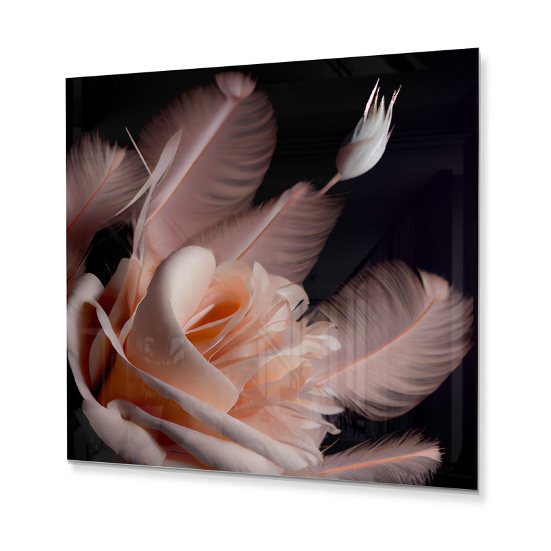 Rose sur fond de plumes roses sur fond noir - rose floral floral - MT81240, H 29 po x l 29 po x P 1 po