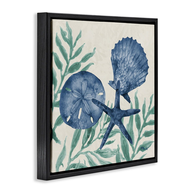 Cadre flottant maritime Tampico Shells, design par Paul Brent, H 25 po x l 25 po, Cadre flottant noir de jais