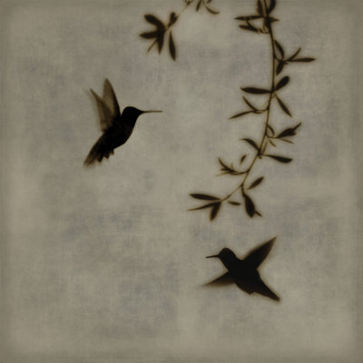 " Dance In Flight I " by Chris Donovan