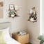 Ensemble de 2 tablettes suspendues flottantes, 2 tablettes de rangement murales à 2 niveaux pour livres et décor, parfaites pour le salon, la chambre à coucher, la cuisine, le bureau personnel, le bureau, brun rustique