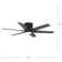 Quayvon 54'' Ceiling Fan with LED Lights