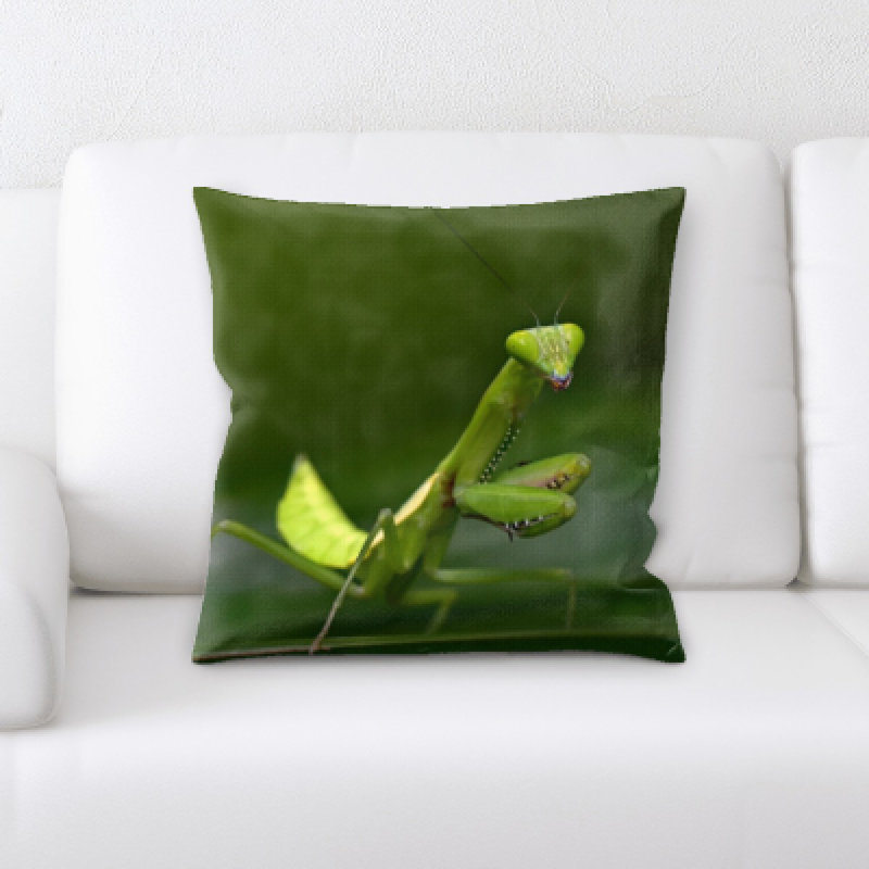 Housse et insert de coussin carré Waddell The Little Animals