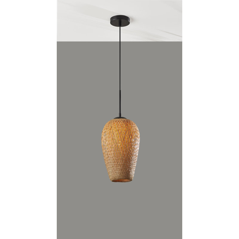 Luminaire suspendu de style lanterne à 1 lumière Raima