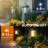 8 Pack Solar Pathway Lights for Garden and Walkway, IP65 Waterproof Outdoor Landscape Lighting, Warm White Solar Powered Decor