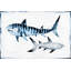 Requins règle - reproduction sur toile tendue-1739565873
