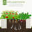 Galvanized Raised Garden Bed, Outdoor Planter Box for Vegetables, Flowers, Herbs-338441142
