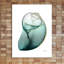 Shimmering Snail 3 - Wrapped Canvas Print-928355933