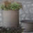 Tall Metal Plant Pot-1168429018