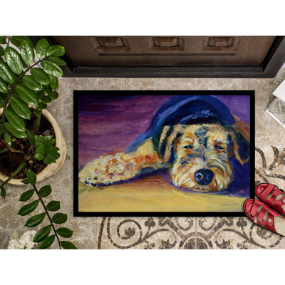 Non-Slip Outdoor Doormat