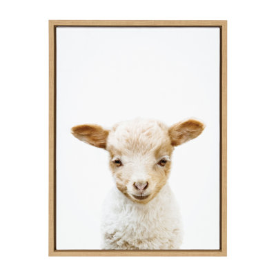 Animal Studio Lamb by Amy Peterson Framed Canvas Wall Art Print