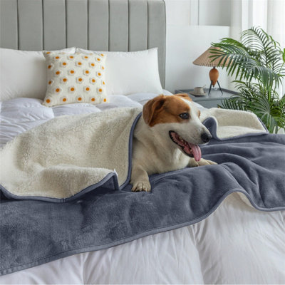 Pet Blanket