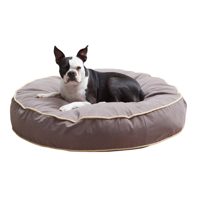 Lit pour chien Buckhead, Moyen (l 36 po x P 36 po x H 6 po), Fumée