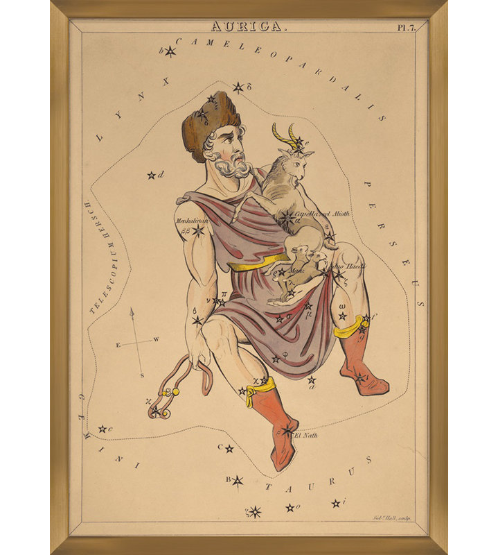 Auriga Print by Grand Archives