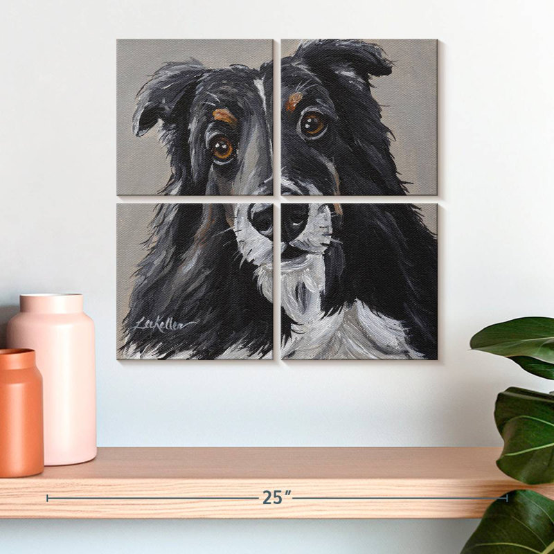 Sheltie de Brampt sur fond gris, H 18 po x l 18 po