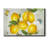 " Postcard Lemons "-526993247