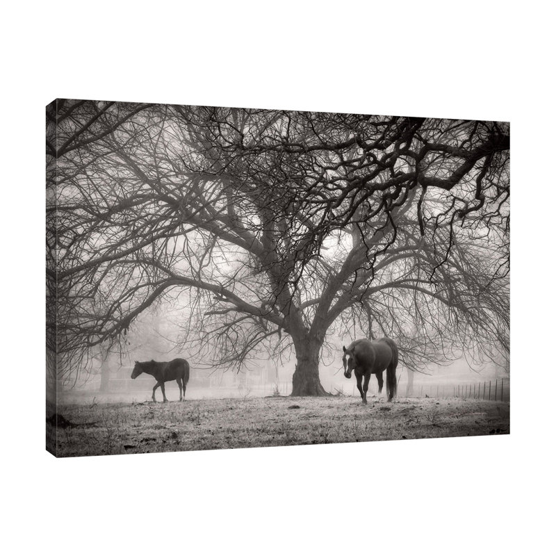 "Morning Calm II BW", toile tendue par Debra Van Swearingen, H 12 po x l 16 po x P 1,5 po
