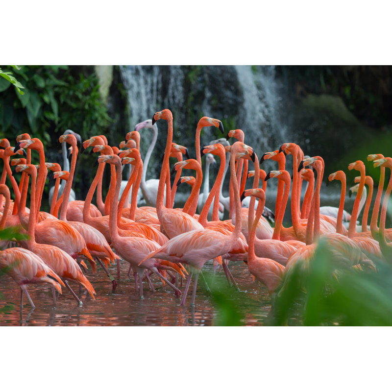 Flock Of Flamingos by Jat306 - Wrapped Canvas Print, 20cm H x 30cm W