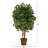 Faux Ficus Tree in Wood Planter-217757435
