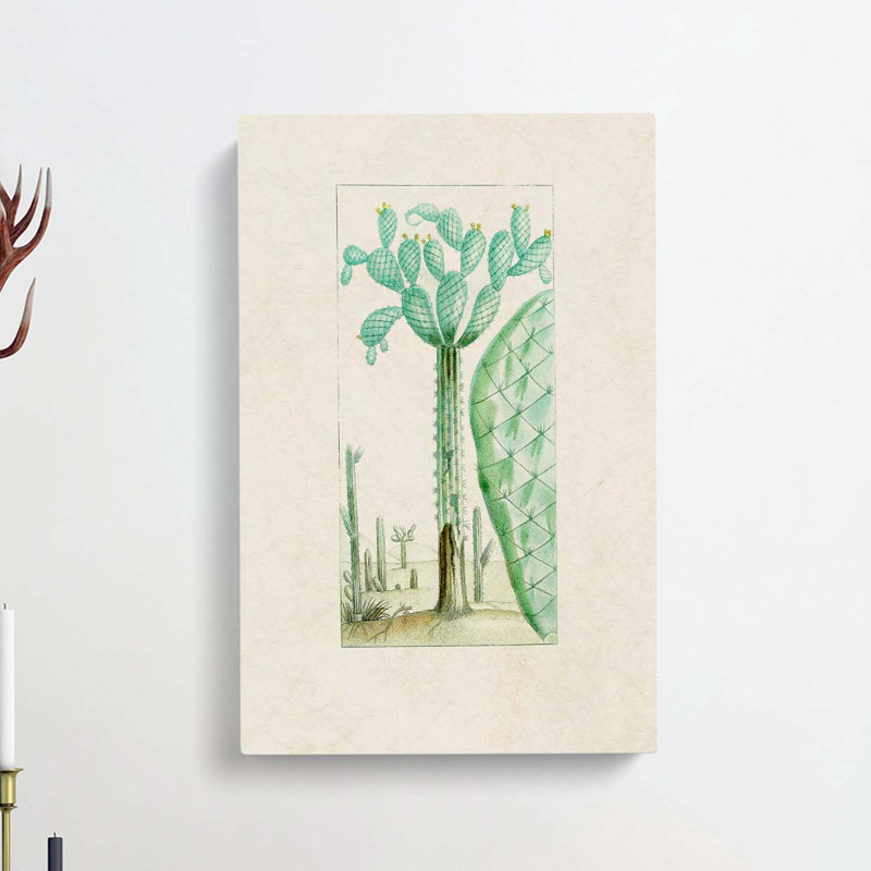 Cactus Illustration - Wrapped Canvas, 50cm H x 35cm W x 3cm D