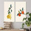 «Organic Vintage Fruits V», ensemble de 2 impressions-1752621873-1752621872