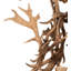Rustic Lodge 12 - Light Chandelier