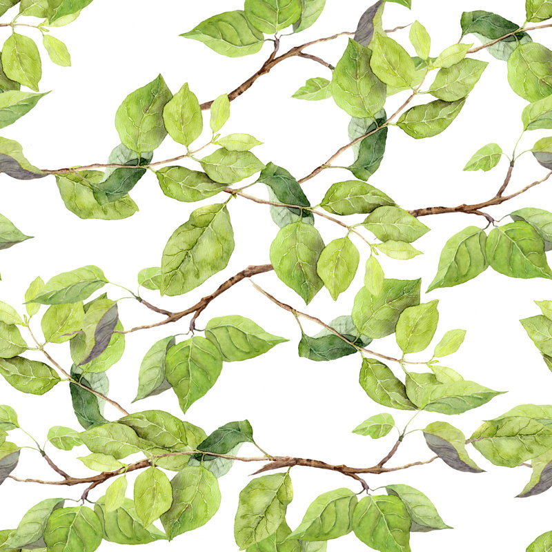 Ceballo Matte Wallpaper Roll, 250 x 250cm
