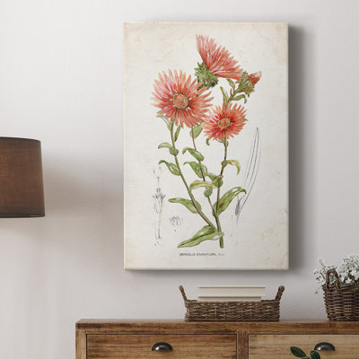 Botanique I - Cavas enveloppés de galerie