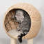 Levi 39.25'' H Cat Tree