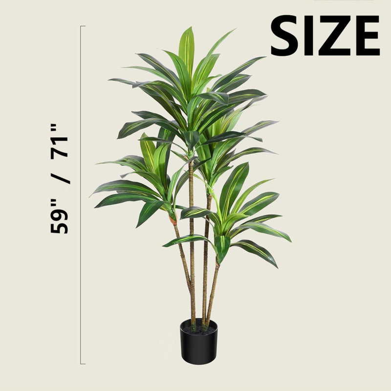 Fausse plante verte Dracaena en pot, H 71 po x l 20 po x P 20 po