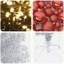Christmas Tree-336120816-336120822