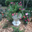 Pot à fleurs Muggly's Aunt Minnie-901691959-901691957