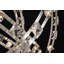 Salgado 32 - Light Crystal LED Chandelier