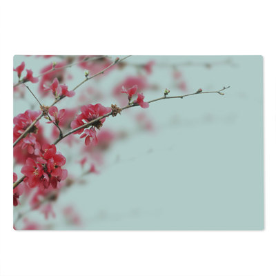 Ambesonne Japanese Cutting Board Large Size Cherry Blossoms Misty Hot Pink White