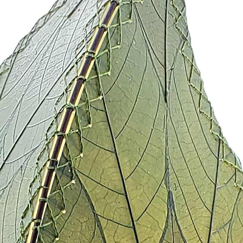 Eangee 24 Inch Leaflet Table Lamp Made With Real Leaves , Green
