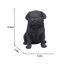Baby Pug | Handpainted Decorative Puppy Statue for Home & Garden Decor | Premium Polyresin Dog Statue | Gift for Dog Lovers | Weather-Resistant Indoor/Outdoor Decor-281512170
