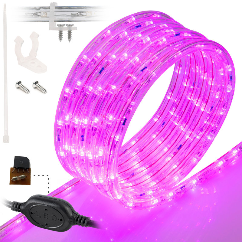Cordon lumineux à DEL, Rose, H 0,375 po x l 120 po x P 0,375 po, 108