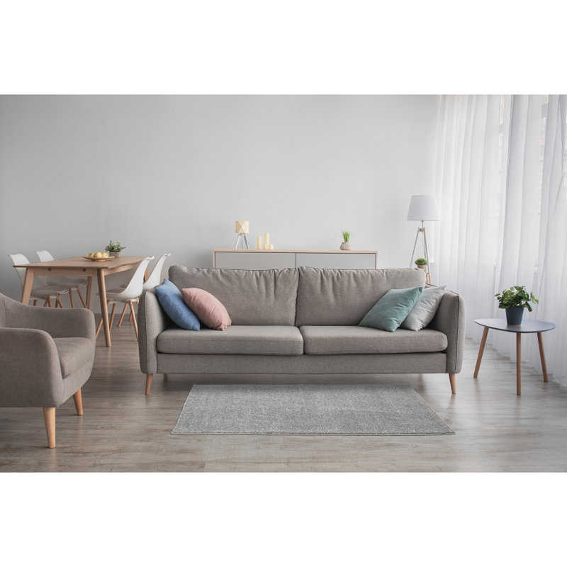  Tapis lavable de 3 pi x 5 pi Palmer Plush, Silver, 3 ft. x 5 ft.