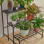 Support à plante avec tablettes suspendues