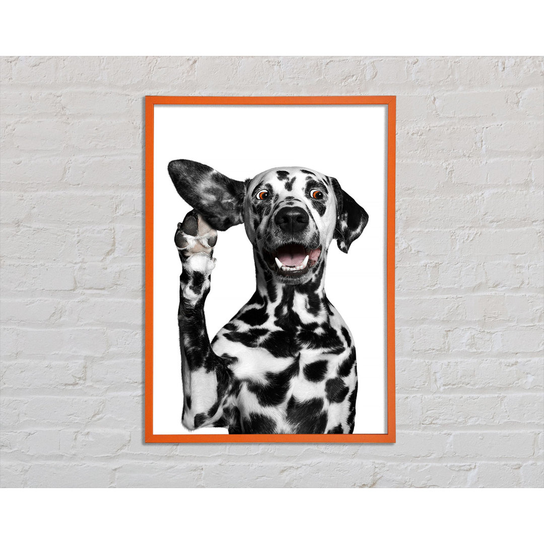 Fryar Dalmation Dog High Five - Einzelner Bilderrahmen Kunstdrucke