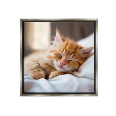 "Sleeping Orange Kitten" par RB sur toile